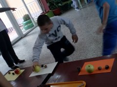 IMG_20191010_140639.jpg